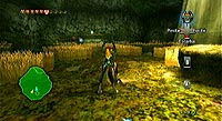 The Legend of Zelda: Twilight Princess (Wii)