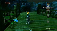 The Legend of Zelda: Twilight Princess (Wii)