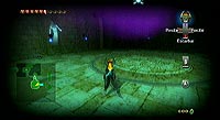 The Legend of Zelda: Twilight Princess (Wii)