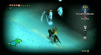 The Legend of Zelda: Twilight Princess (Wii)