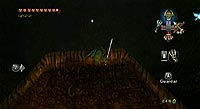 The Legend of Zelda: Twilight Princess (Wii)