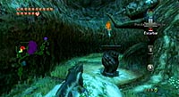 The Legend of Zelda: Twilight Princess (Wii)