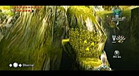 The Legend of Zelda: Twilight Princess (Wii)