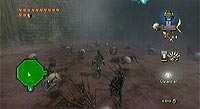The Legend of Zelda: Twilight Princess (Wii)