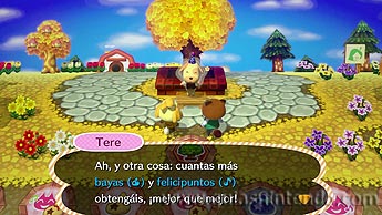 Animal Crossing: amiibo Festival
