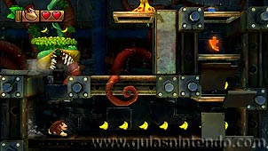 Donkey Kong Country: Tropical Freeze