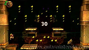 Donkey Kong Country: Tropical Freeze