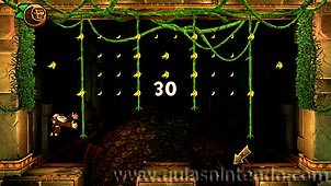 Donkey Kong Country: Tropical Freeze