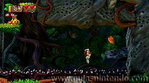 Donkey Kong Country: Tropical Freeze