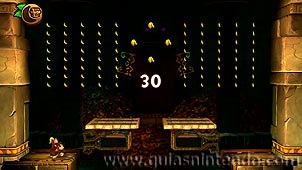 Donkey Kong Country: Tropical Freeze