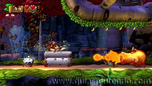Donkey Kong Country: Tropical Freeze