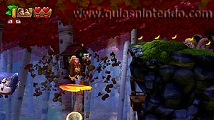 Donkey Kong Country: Tropical Freeze