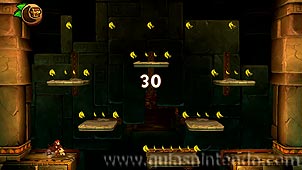 Donkey Kong Country: Tropical Freeze