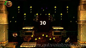 Donkey Kong Country: Tropical Freeze