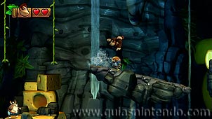 Donkey Kong Country: Tropical Freeze