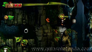 Donkey Kong Country: Tropical Freeze