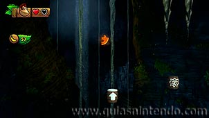 Donkey Kong Country: Tropical Freeze