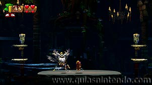 Donkey Kong Country: Tropical Freeze