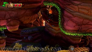Donkey Kong Country: Tropical Freeze