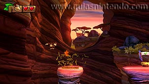 Donkey Kong Country: Tropical Freeze
