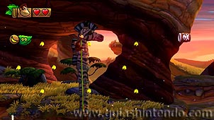 Donkey Kong Country: Tropical Freeze