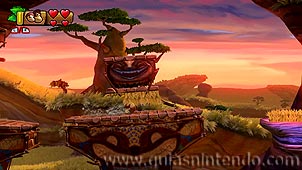 Donkey Kong Country: Tropical Freeze