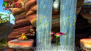 Donkey Kong Country: Tropical Freeze