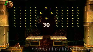 Donkey Kong Country: Tropical Freeze