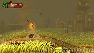 Donkey Kong Country: Tropical Freeze
