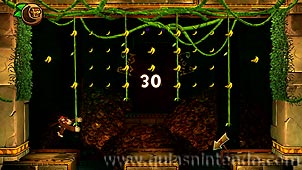 Donkey Kong Country: Tropical Freeze