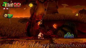 Donkey Kong Country: Tropical Freeze