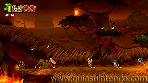 Donkey Kong Country: Tropical Freeze