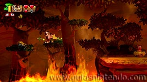 Donkey Kong Country: Tropical Freeze