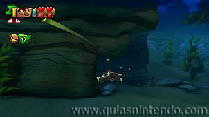 Donkey Kong Country: Tropical Freeze