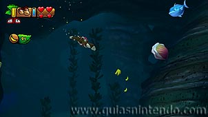 Donkey Kong Country: Tropical Freeze