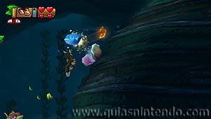 Donkey Kong Country: Tropical Freeze