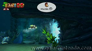 Donkey Kong Country: Tropical Freeze
