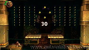 Donkey Kong Country: Tropical Freeze