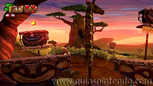 Donkey Kong Country: Tropical Freeze