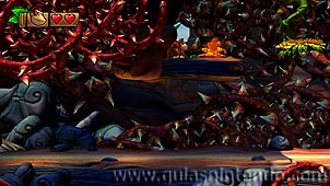 Donkey Kong Country: Tropical Freeze