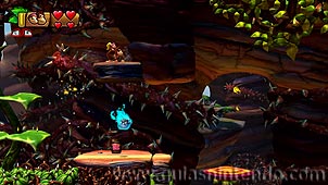 Donkey Kong Country: Tropical Freeze