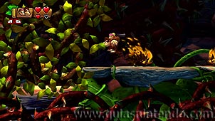 Donkey Kong Country: Tropical Freeze