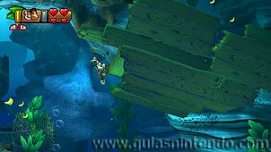 Donkey Kong Country: Tropical Freeze