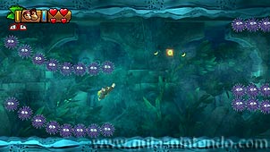 Donkey Kong Country: Tropical Freeze