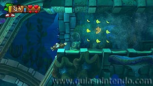 Donkey Kong Country: Tropical Freeze