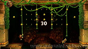 Donkey Kong Country: Tropical Freeze