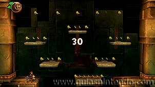 Donkey Kong Country: Tropical Freeze