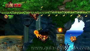 Donkey Kong Country: Tropical Freeze