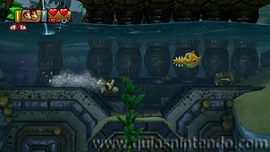 Donkey Kong Country: Tropical Freeze
