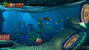Donkey Kong Country: Tropical Freeze